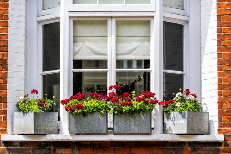 a window with potted plants