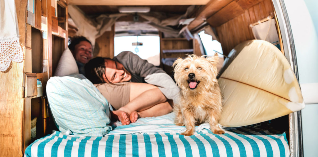 a person and a dog sleeping on a bed